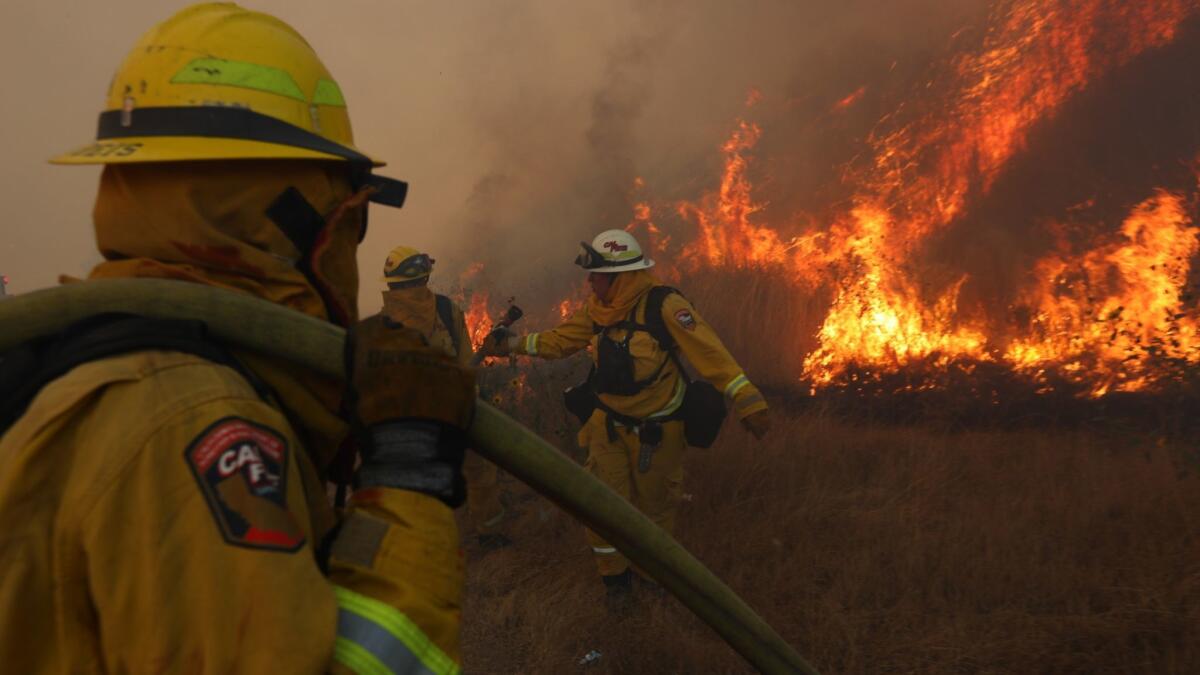 Firefighters battle the Canyon No. 2 wildfire in Anaheim Hills in October.