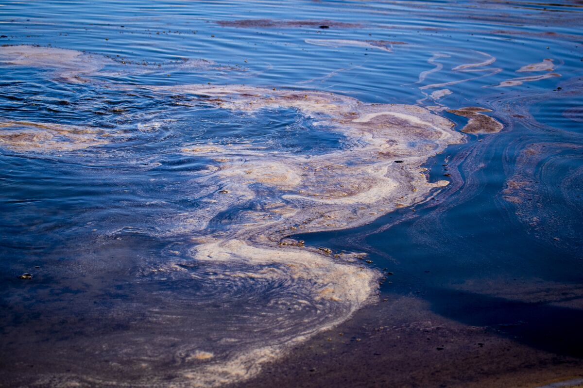 Oil forms into globules, foam and a glossy sheen on ocean water
