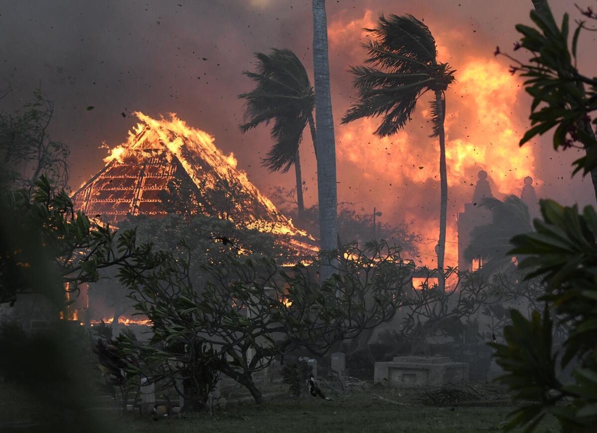 A building burns as flames and smoke rise in the background and wind whips two palm trees. 