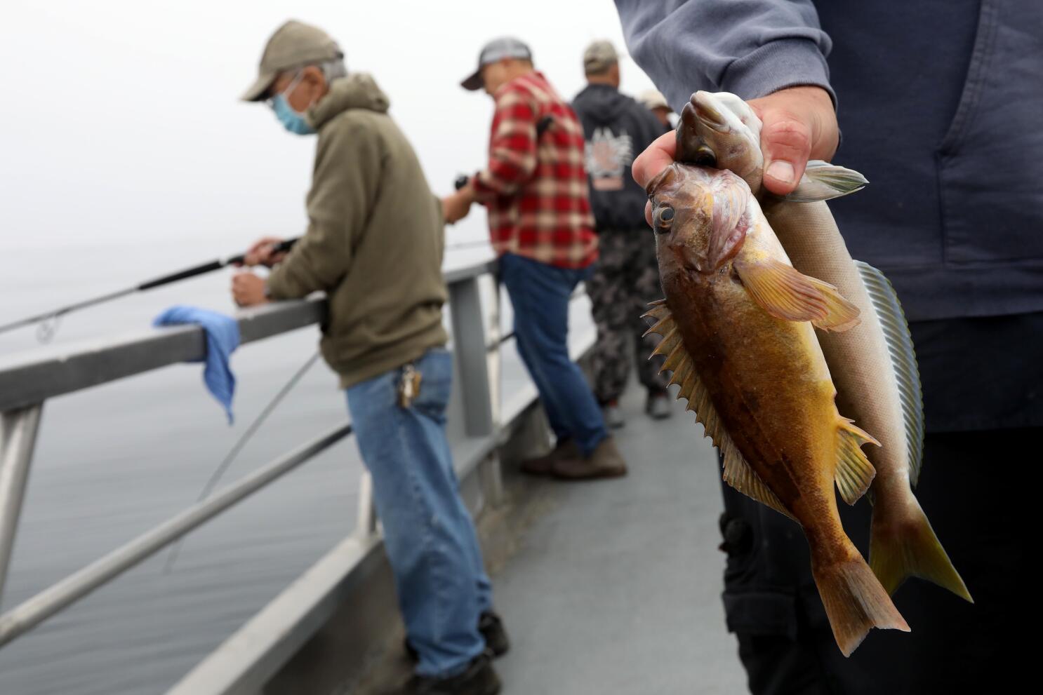 Will California emission rules sink sportfishing businesses? - Los