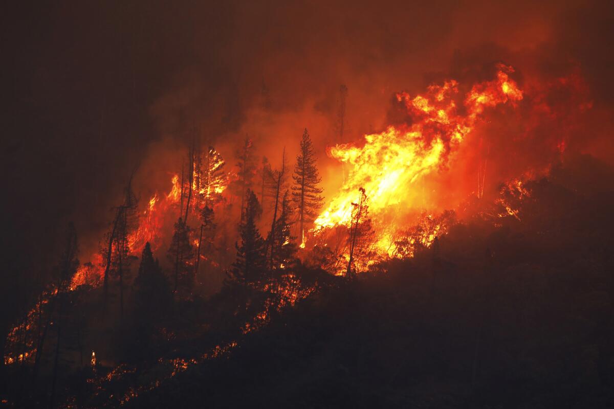 The Camp fire burns last year outside of Pulga, Calif., on the North Fork of the Feather River.