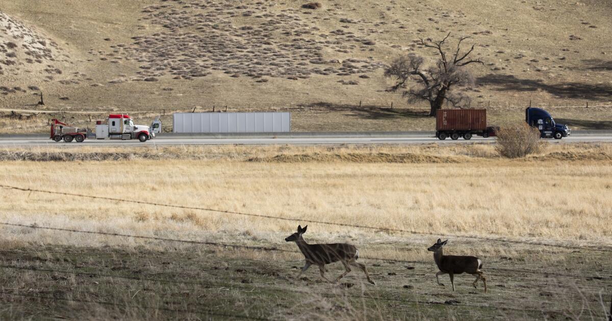 Mercedes, Starbucks to install open-to-all EV chargers along 5 Freewa...