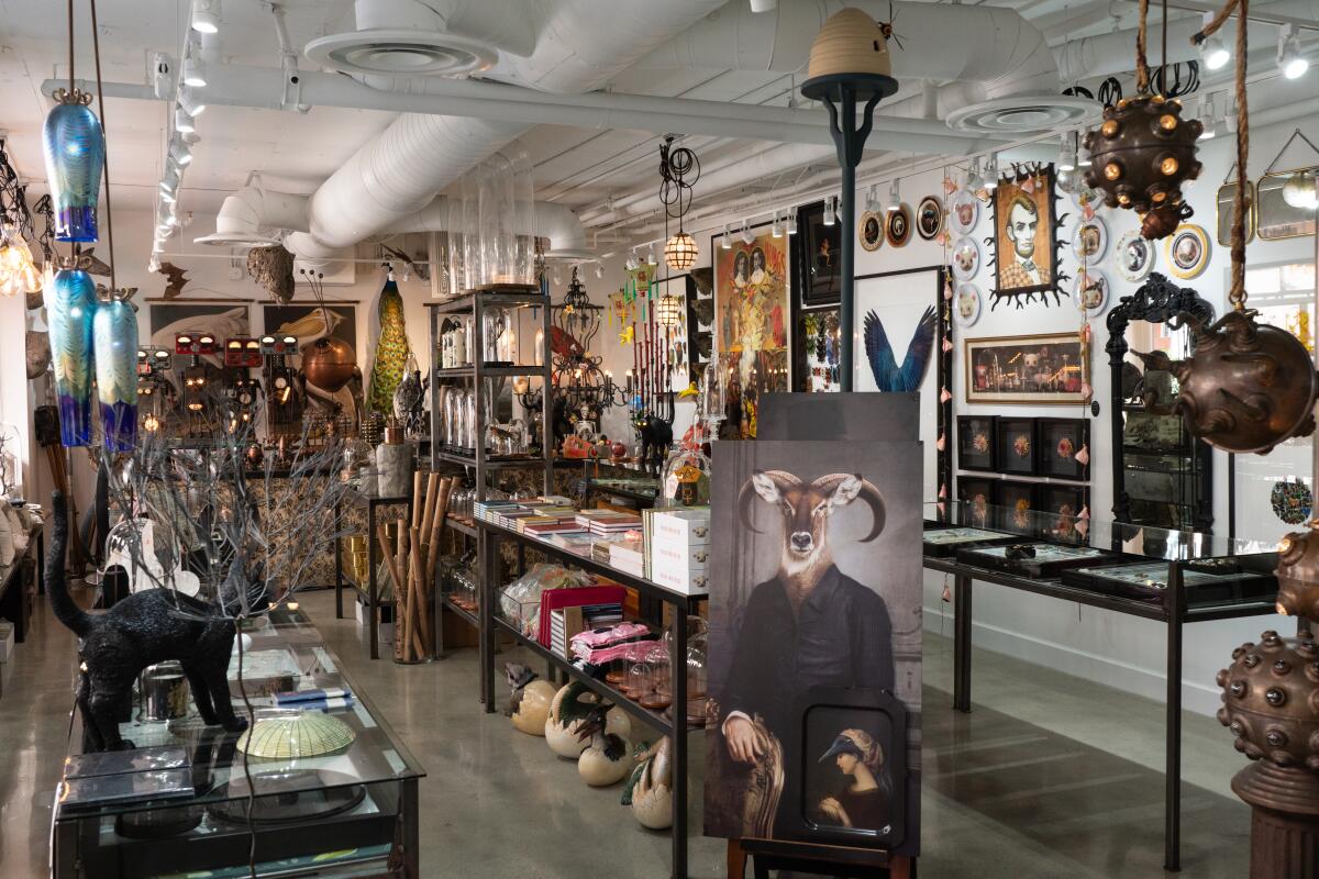 Gold Bug gallery is filled with art, distinctive décor, and oddities. 