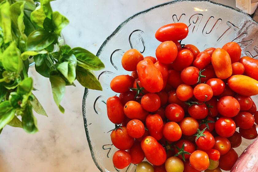 Datterini tomatoes and fresh basil from the gardens at Orto San Frediano in Florence.