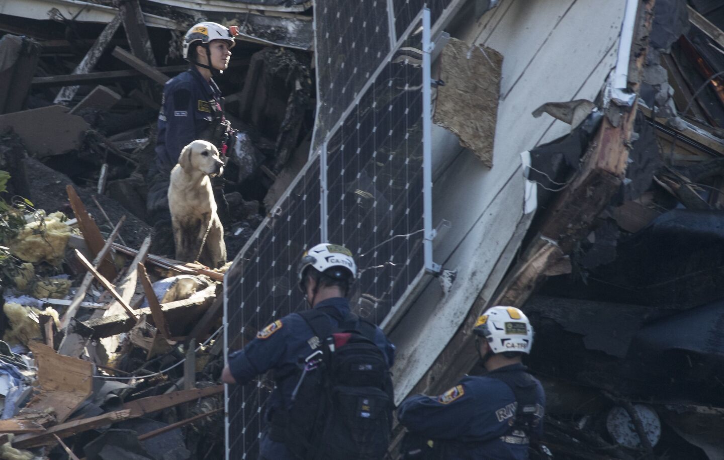 A dog and its handler from Riverside County search the rubble of a Hot Springs Road home Friday in Montecito.