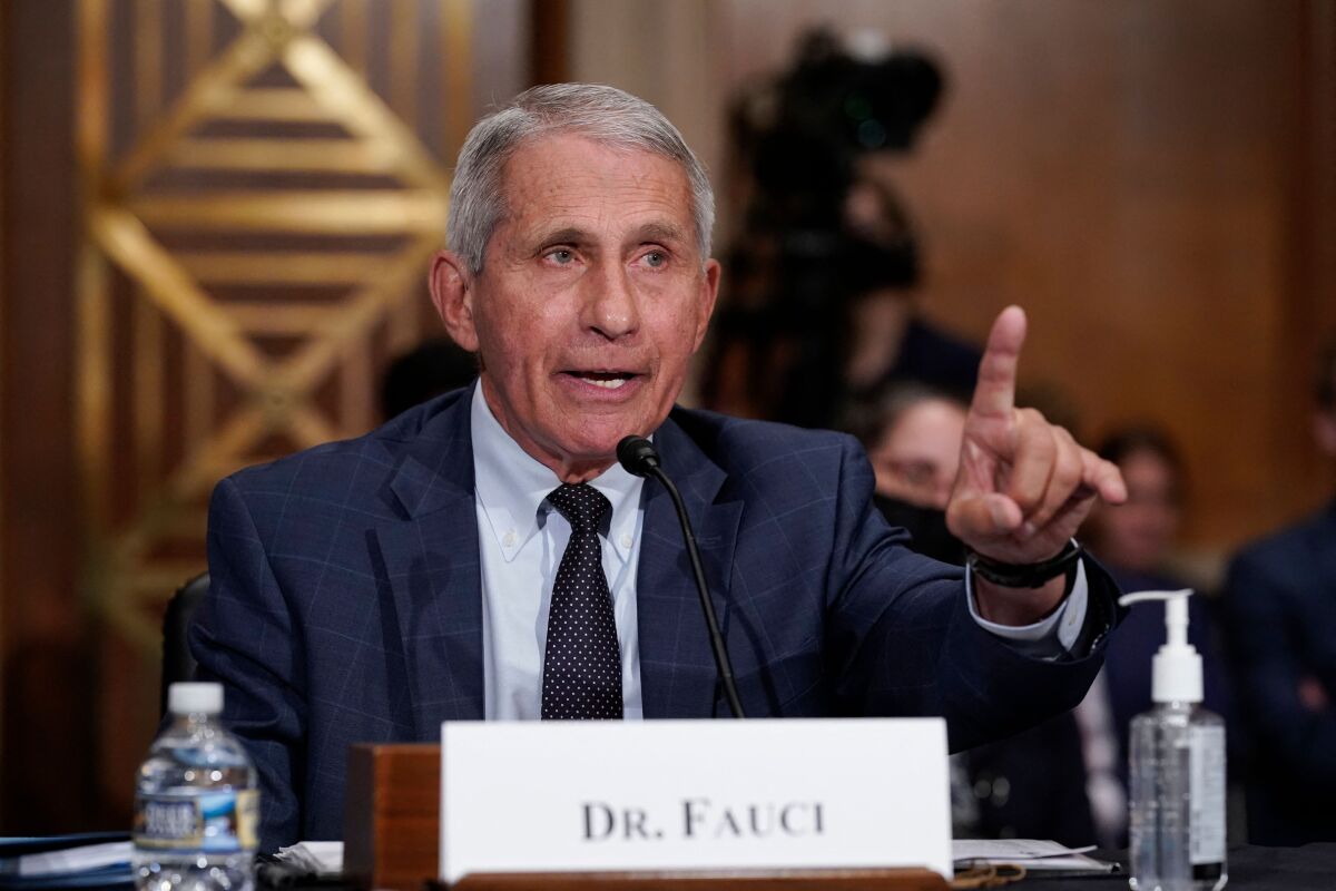 Dr. Anthony Fauci, director of the National Institute of Allergy and Infectious Diseases. 