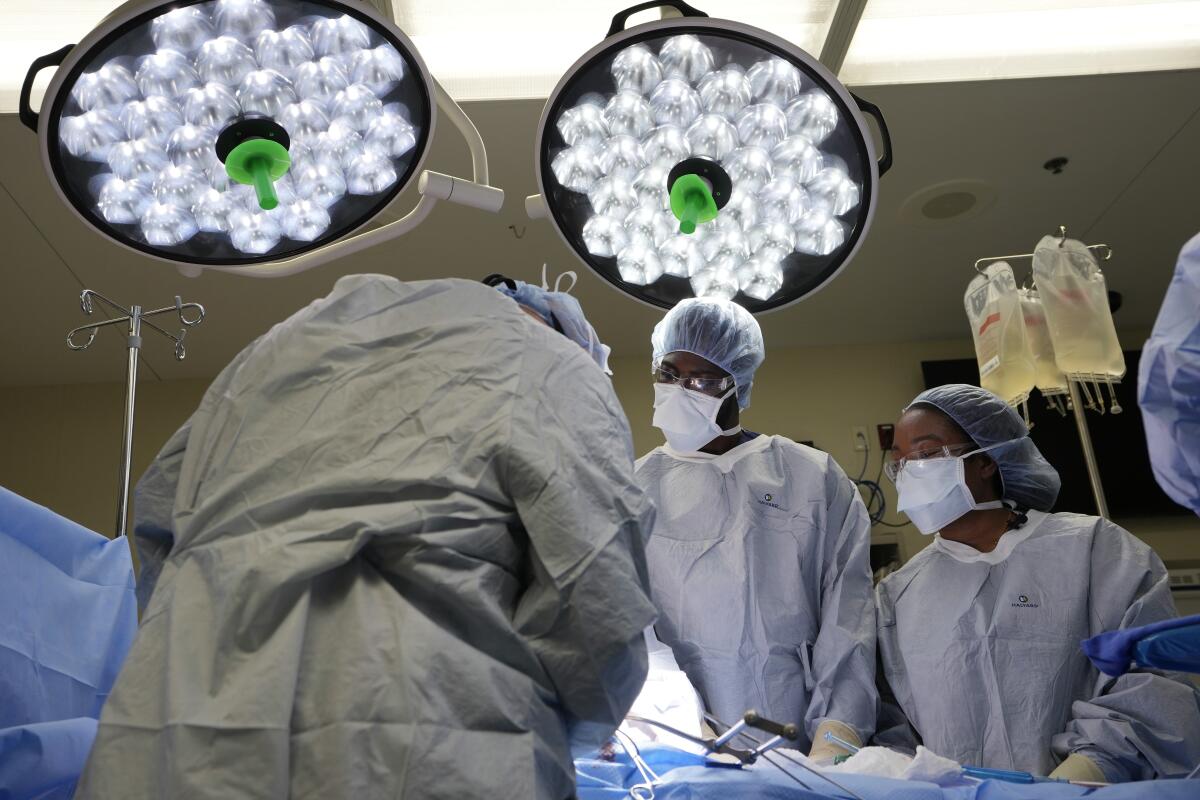 Meharry Medical College students watch as the liver and kidneys are removed from an organ donor.
