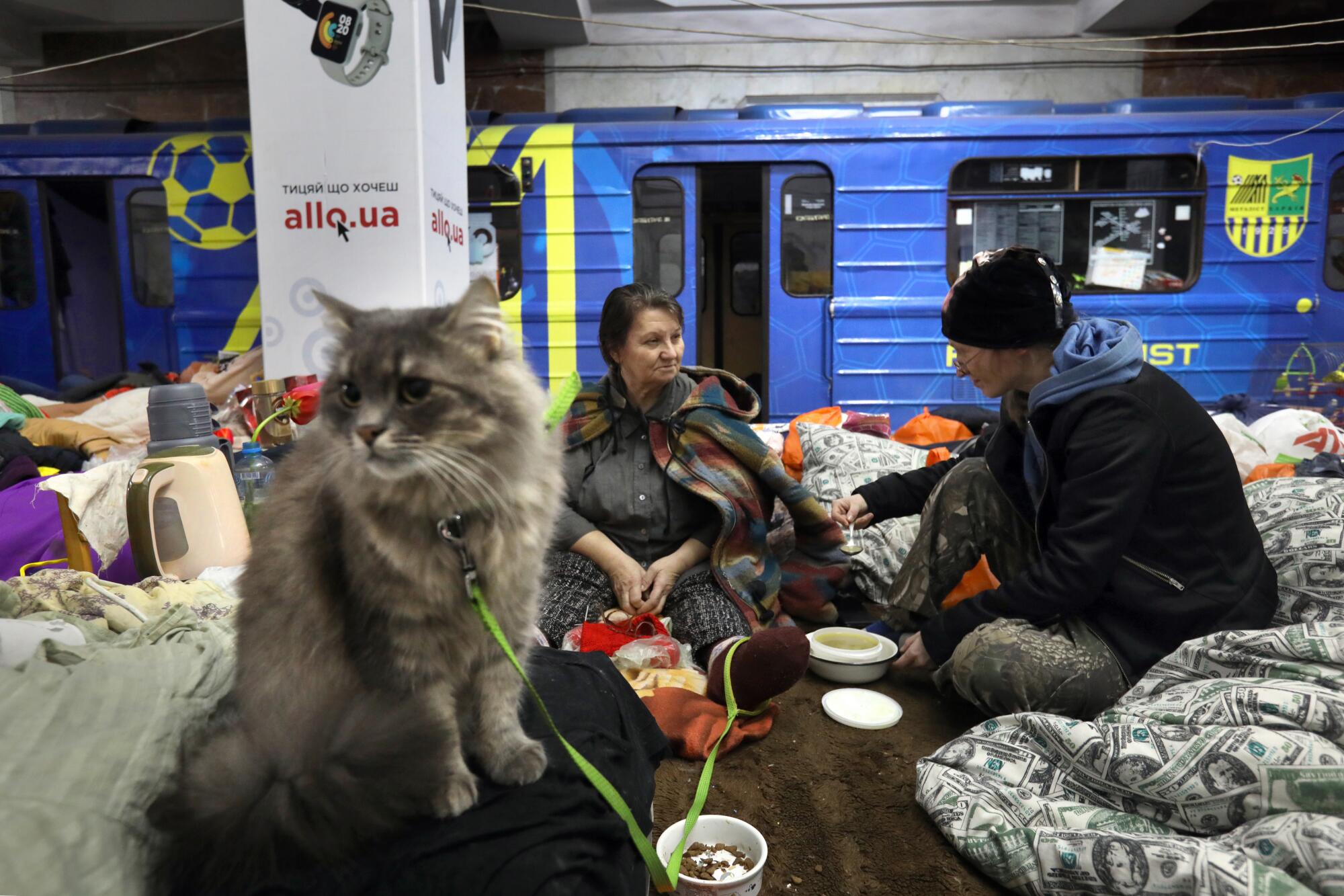 Cat and two women in a subway station shelter