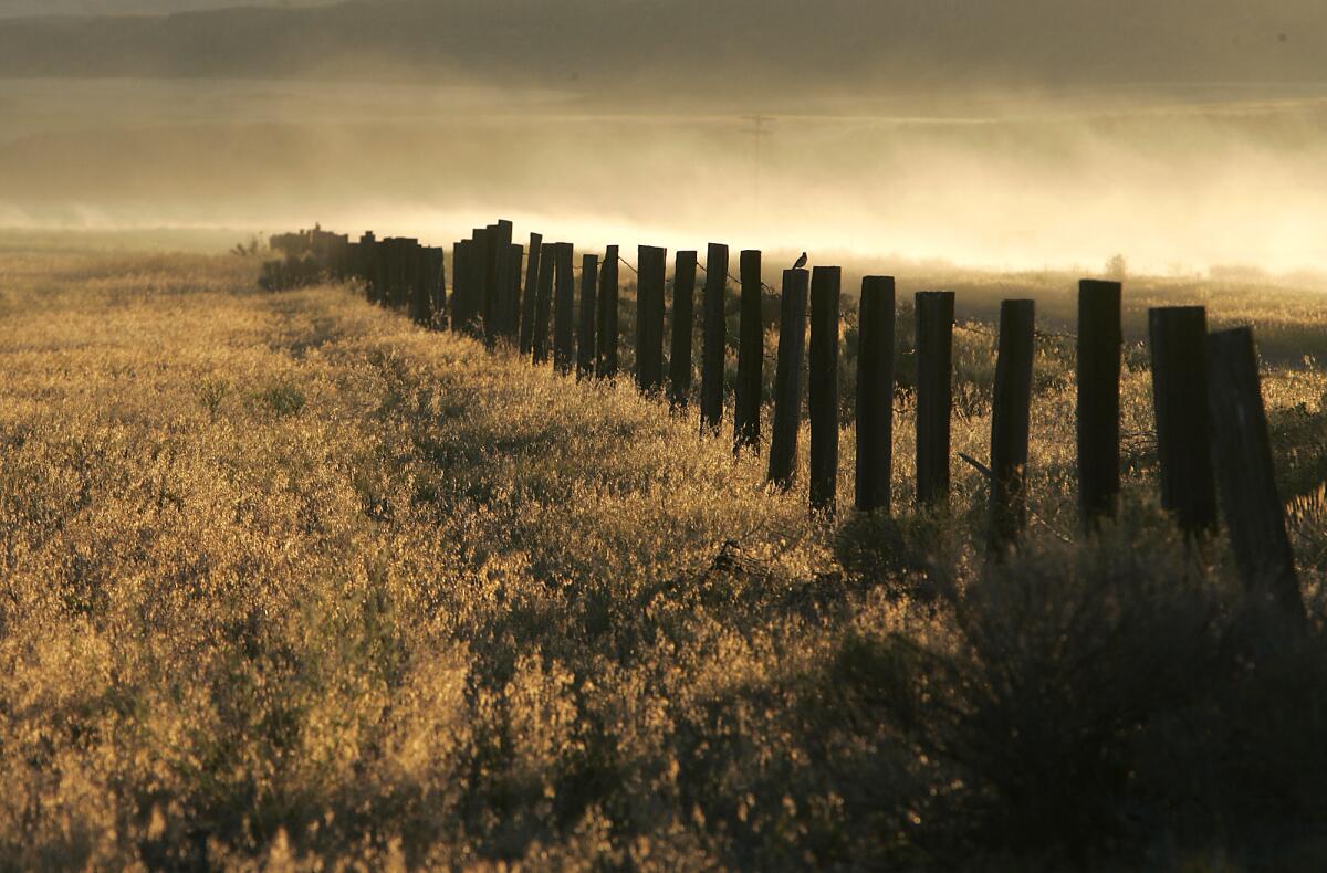 The Tule Lake Segregation Camp, located in Newell, California, was a Japanese internment camp used to house Japanese–American internees who would not pledge their loyalty to the United States. Today, there is mostly only open fields where hundreds of buildings once stood.