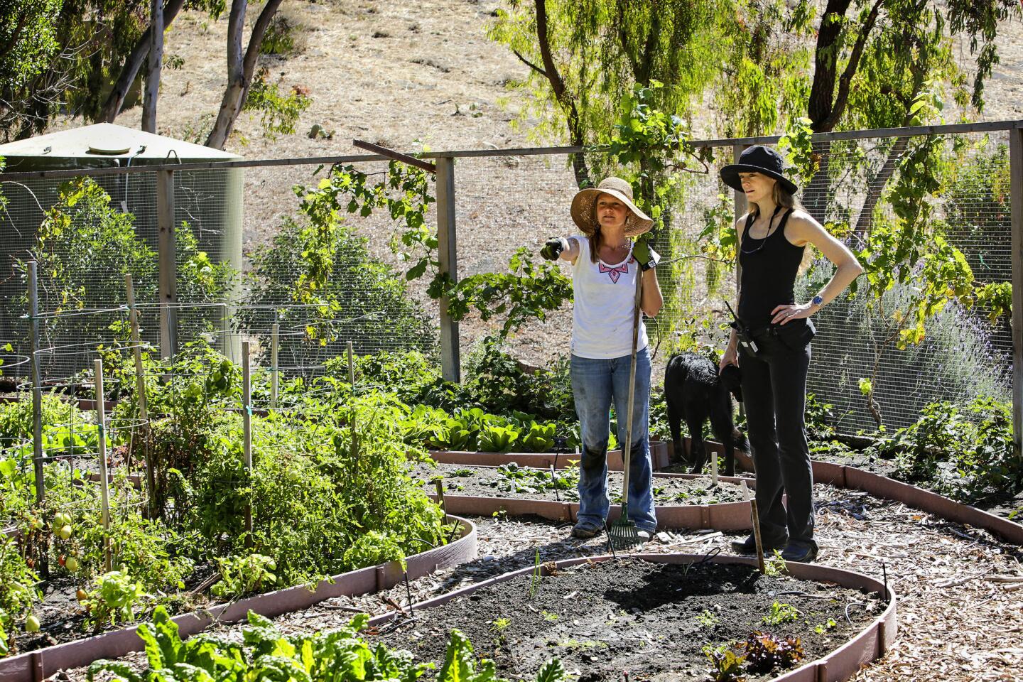 The Hollister Ranch garden of James and Suzy Amis Cameron