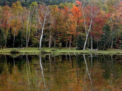 In the White Mountains