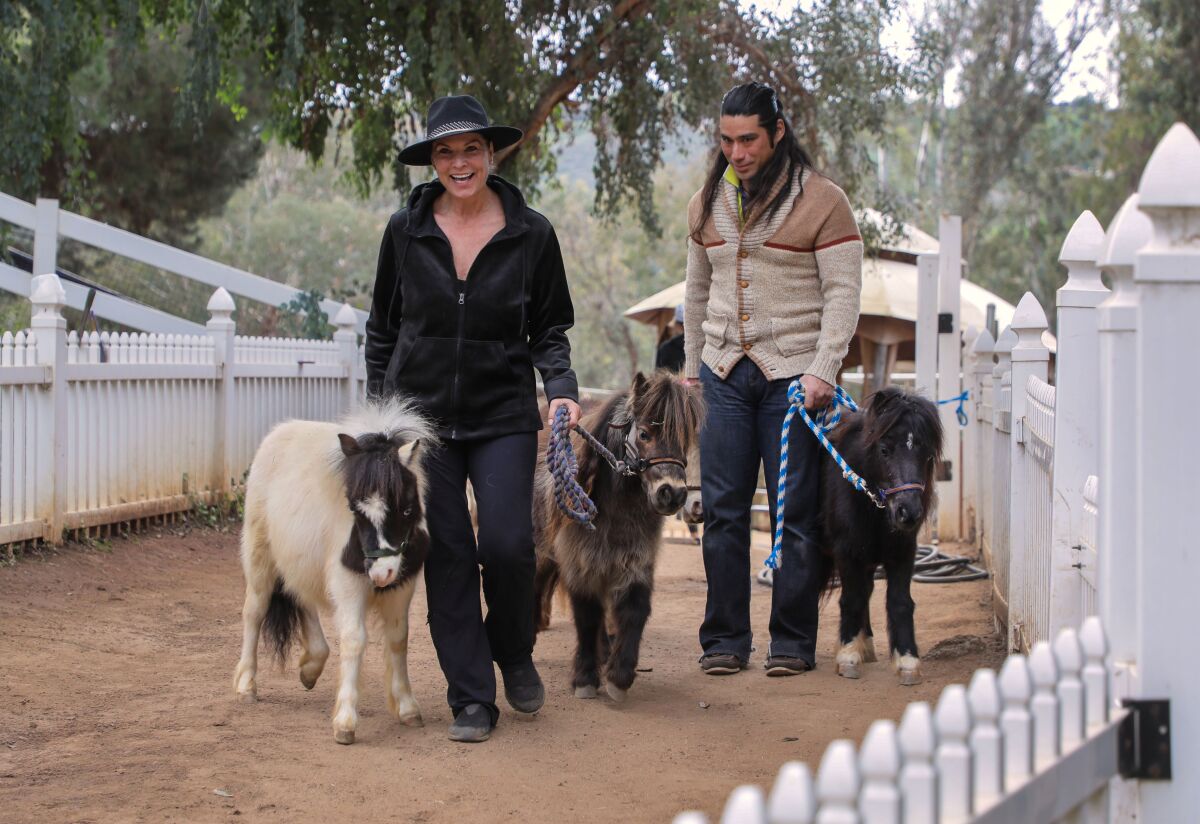 Faith San Severino and Adam Smith walk with some of their many miniature horses 