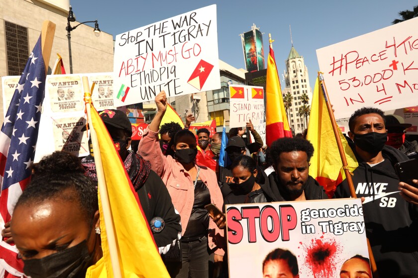Demonstrators against armed conflict in Tigray