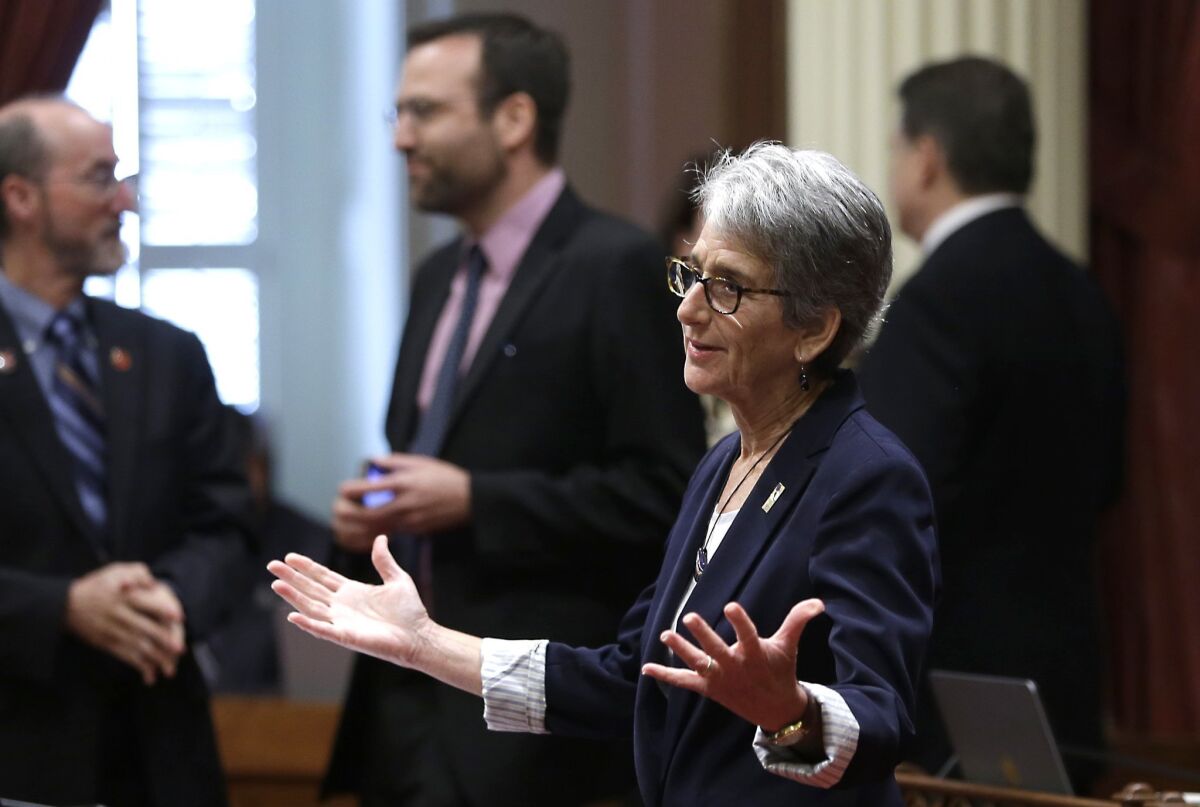 State Sen. Hannah-Beth Jackson (D-Santa Barbara) on the Senate floor after her wage equality bill was approved last year.
