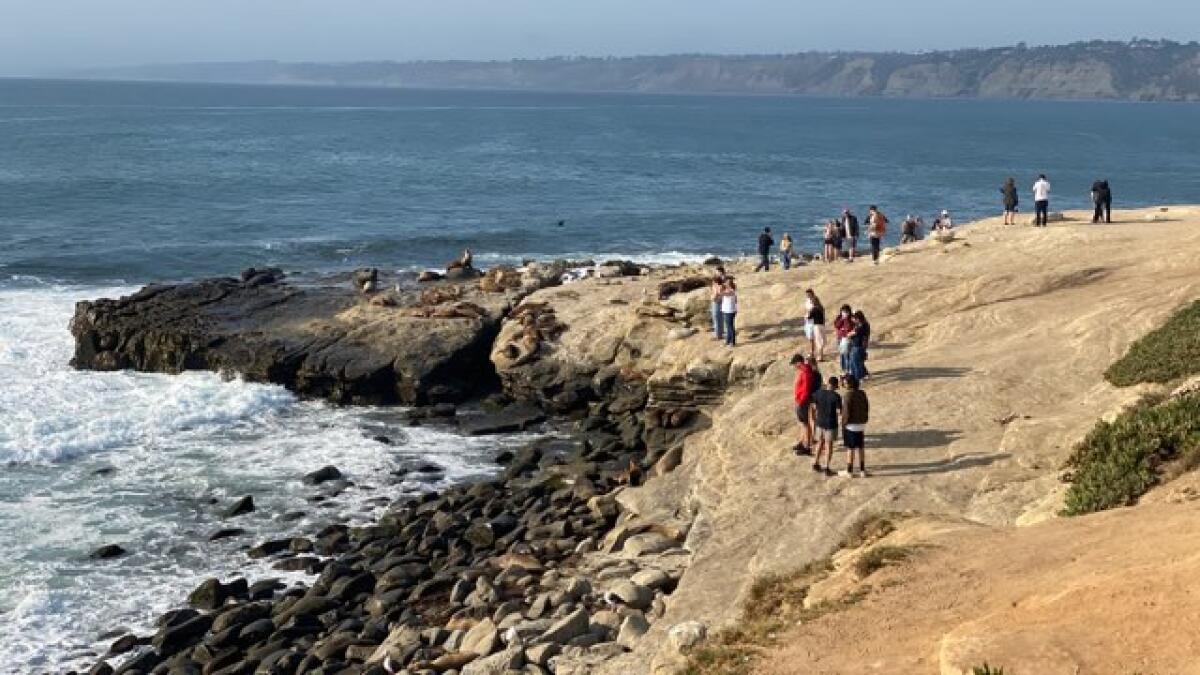 Coastal Commission approves year-round closure of Point La Jolla for at  least the next seven years - La Jolla Light