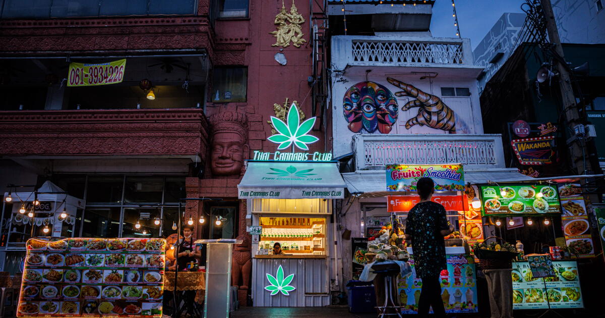 Marijuana was supposed to help Thailand. Why is the country planning to ban it again? Marijuana was supposed to help Thailand. Why is the country planning to ban it again?