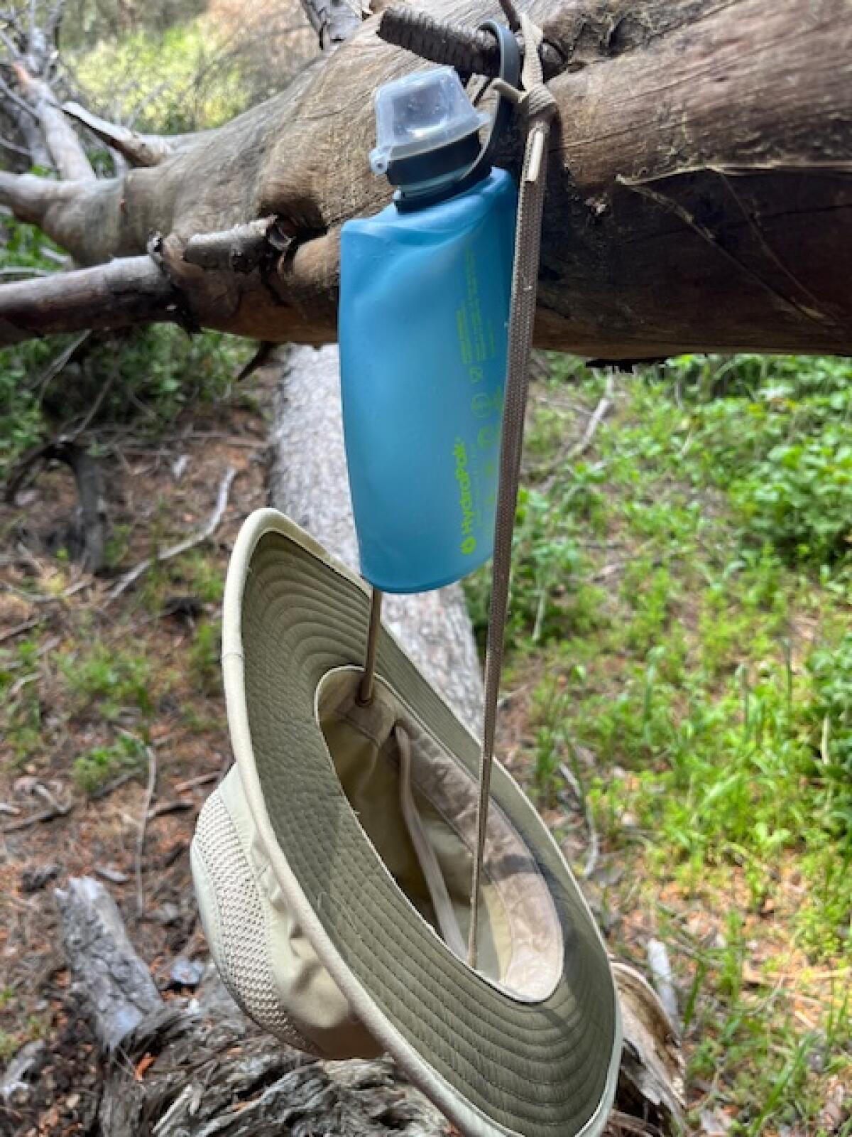 A hat and water bottle hanging on a tree branch in the forest.
