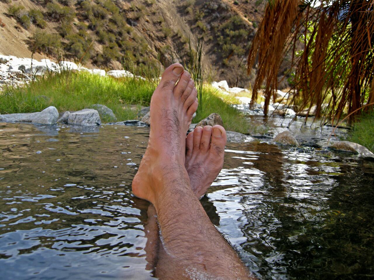 From the rock layer beneath the Los Padres National Forest, several hot springs bubble to the surface. But the Sespe Hot Springs, in the heart of the Sespe Wilderness, have a reputation among hikers as the hottest in Southern California.