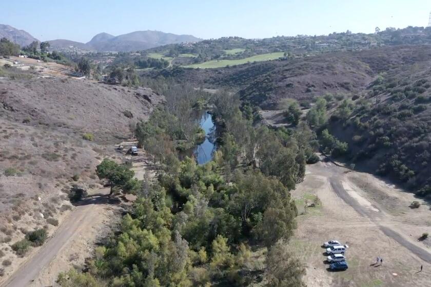 A view of the Arroyo Preserve in Rancho Santa Fe.