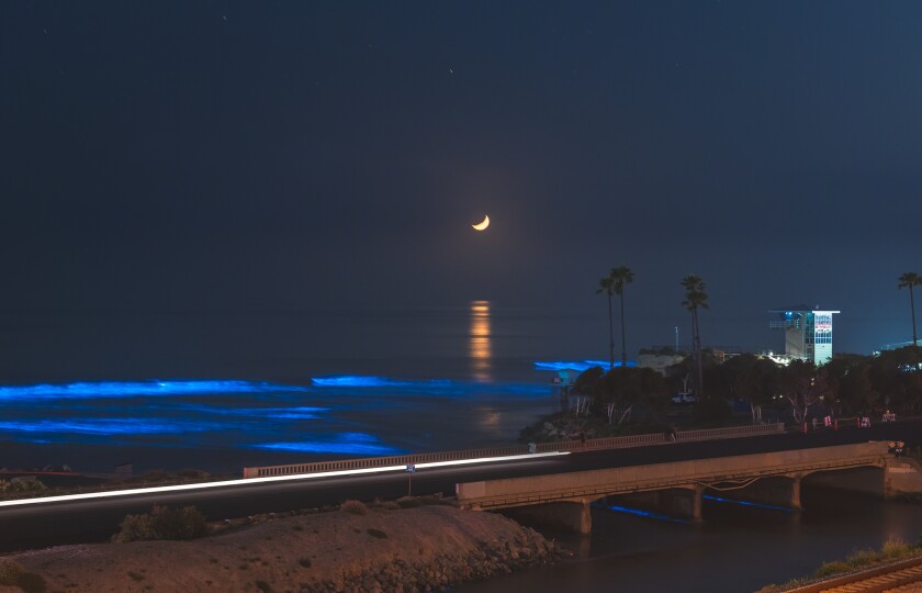 Bioluminescence Drawing Oohs And Aahs Along The San Diego County