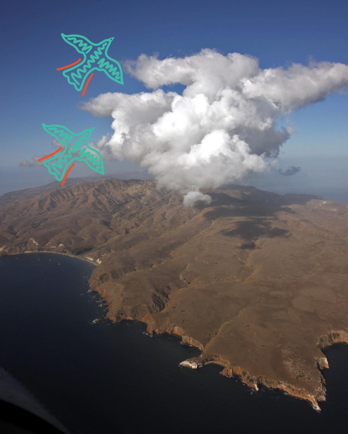 Aerial view of Santa Cruz Island in the Channel Islands National Park