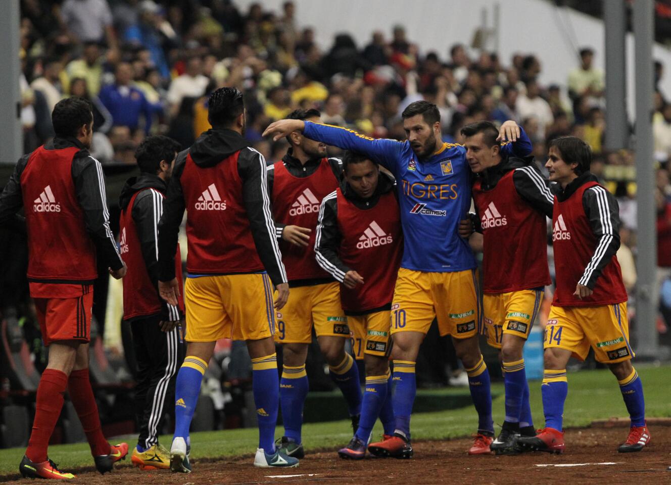 AMÉRICA -TIGRES