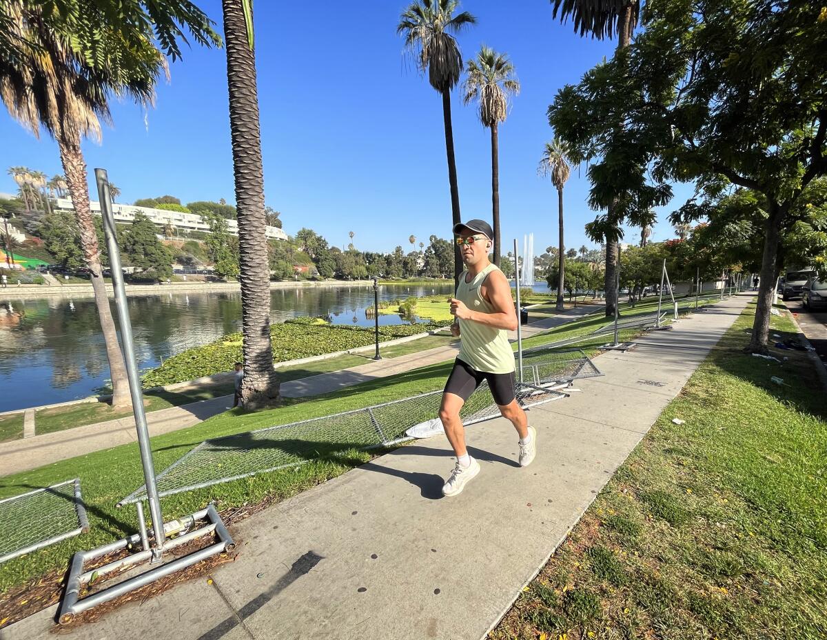 A man jogs along a path bordered by palm trees and alongside a body of water.