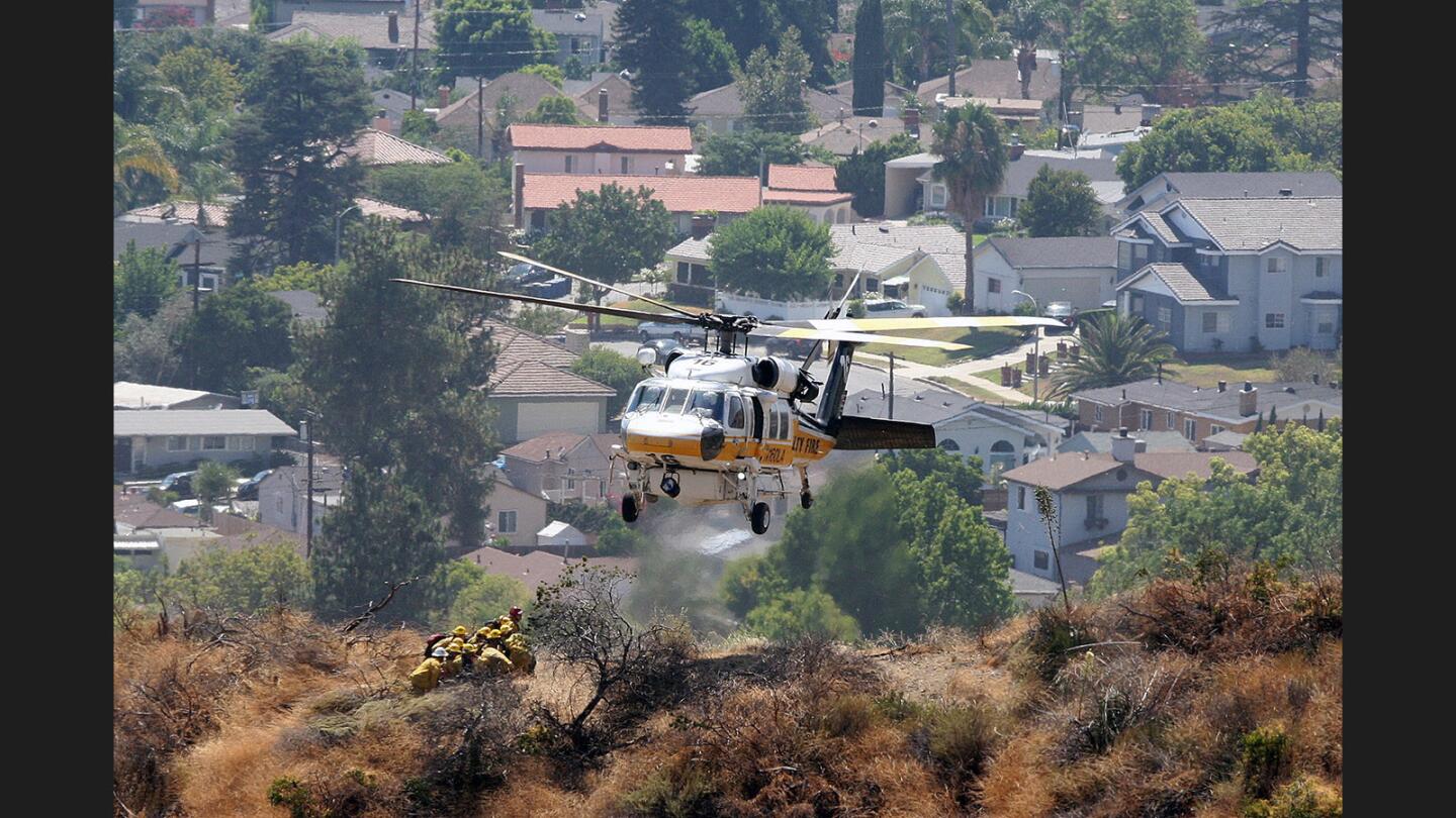 Photo Gallery: Brush fire above Hamline Place in Burbank foothills