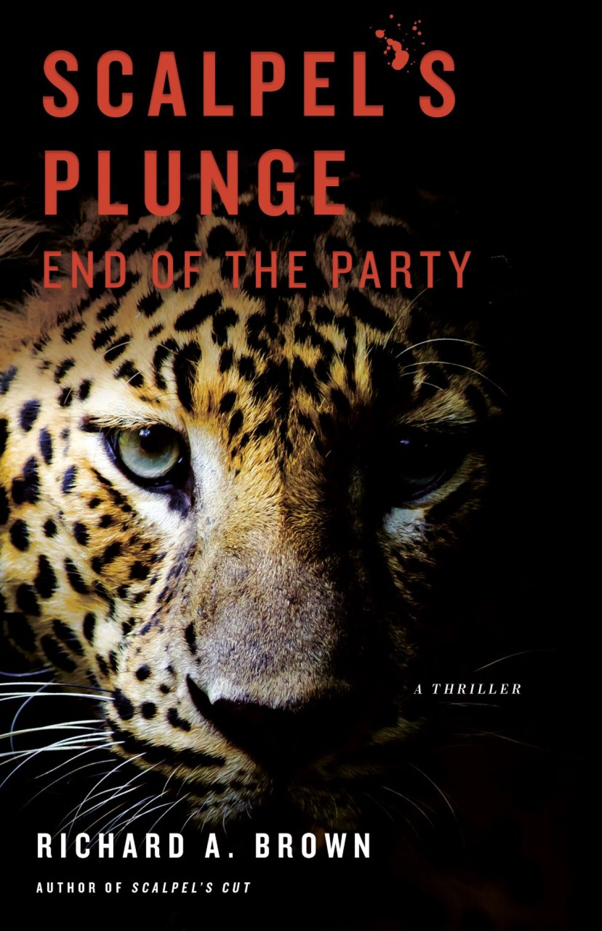 “Scalpel’s Plunge: End of the Party” is Dr. Richard Brown's second novel.