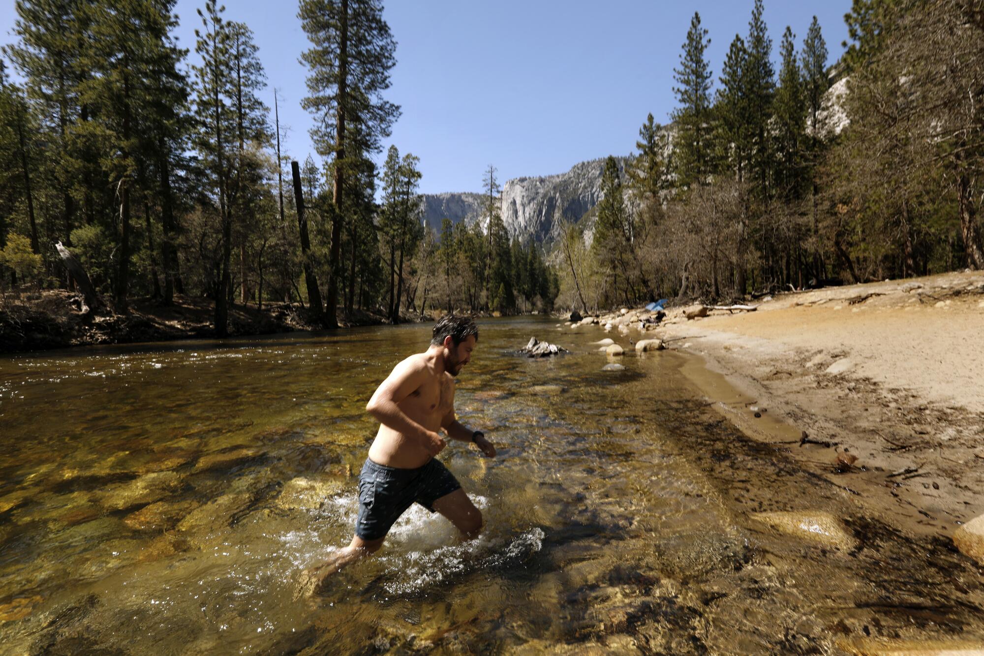 A man in shorts wades out of a shallow river in Yosemite