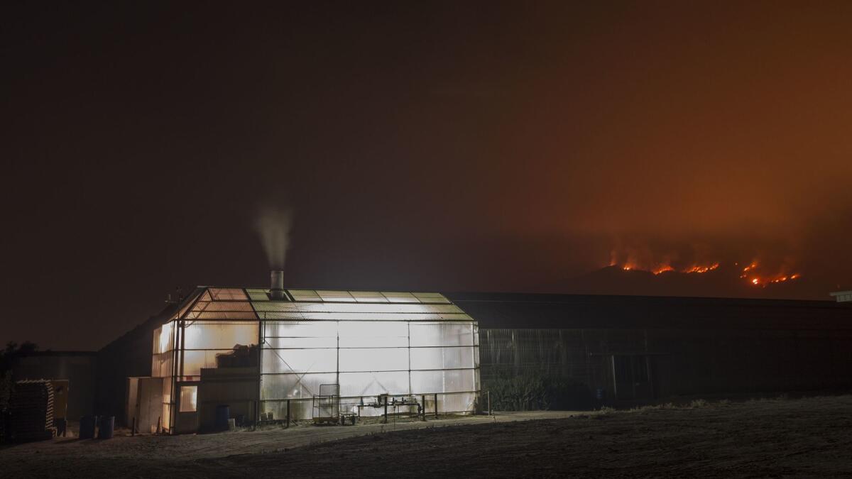 The Thomas looms over a farm near Carpinteria on Dec. 10.