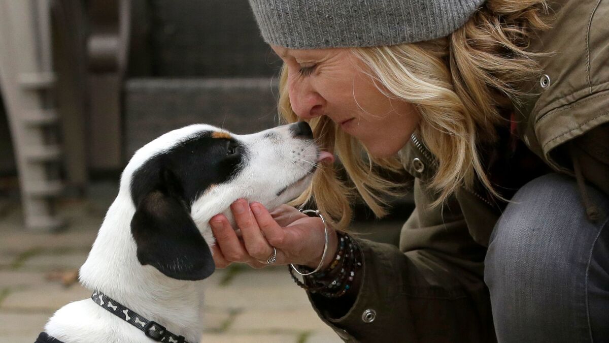 Humans really do understand their dogs — at least some of the time. Pet owners and women were particularly good at interpreting growls, a new study finds.