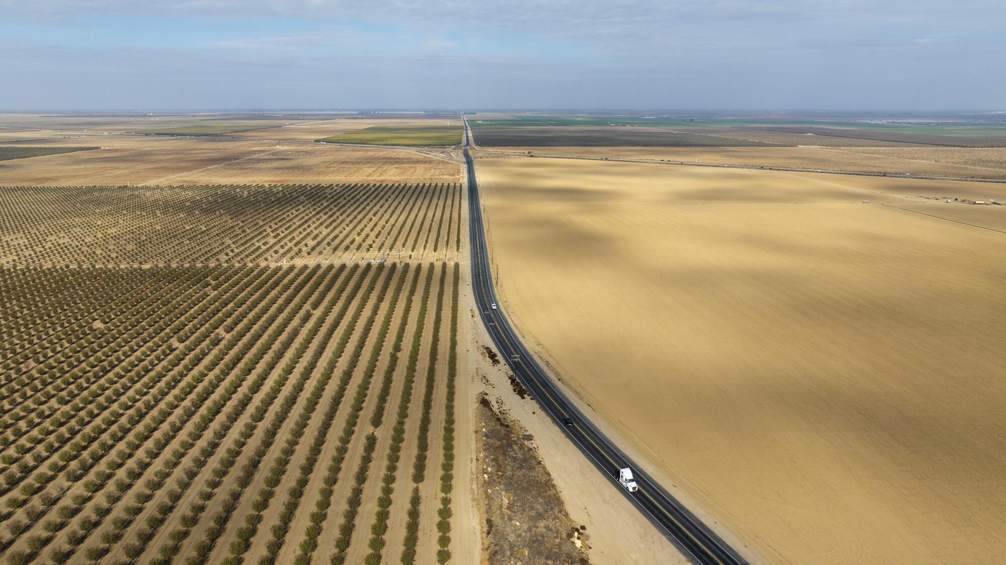An aerial view of farmland and almond orchards crossed by a road.
