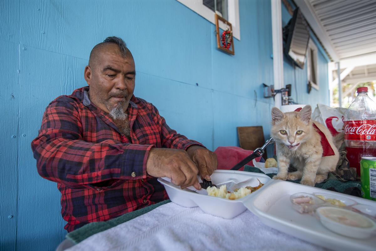 Pancho Sambrano shares lunch with his cat Ice Cream at Mary's Kitchen in Orange on Tuesday, July 13.