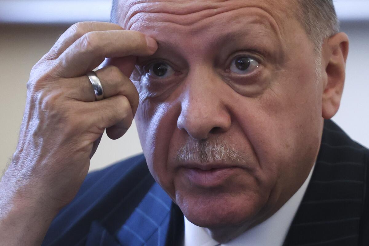 Turkey's President Recep Tayyip Erdogan