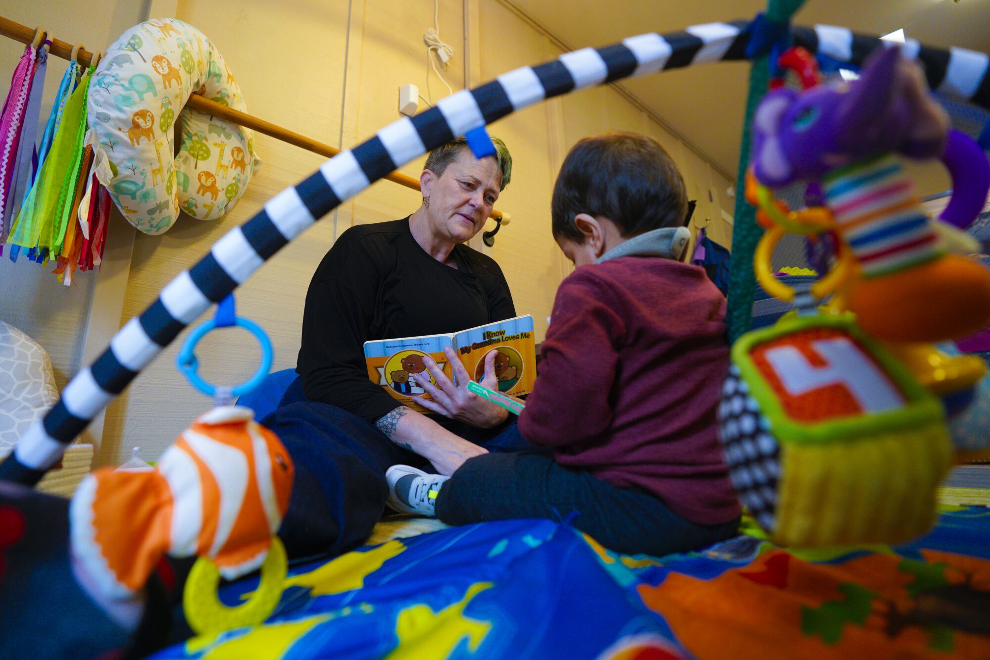 A woman holding a children's book sits across from a toddler, both surrounded by toys.