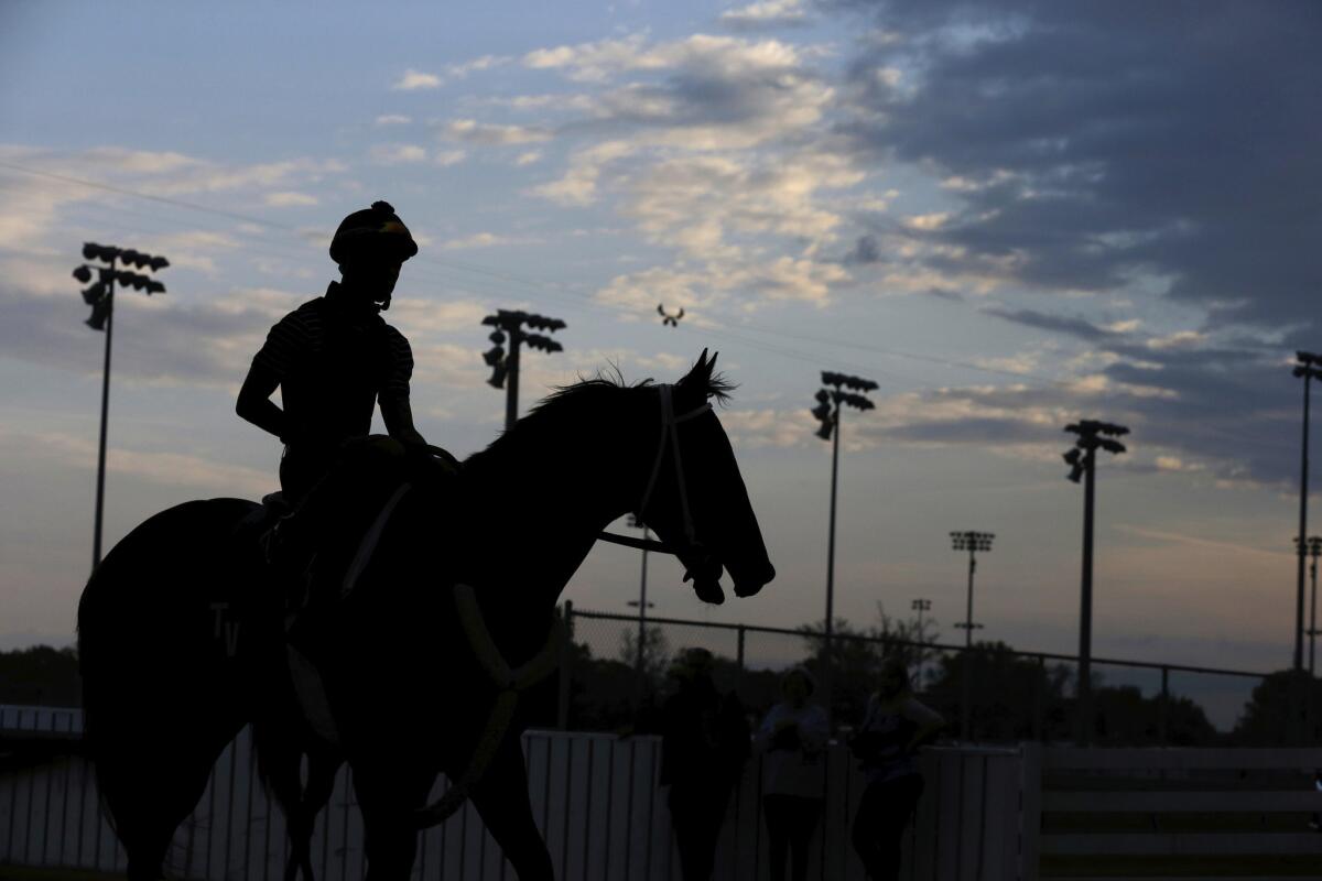 A horse rests on the track during a morning workout at Churchill Downs on Friday.