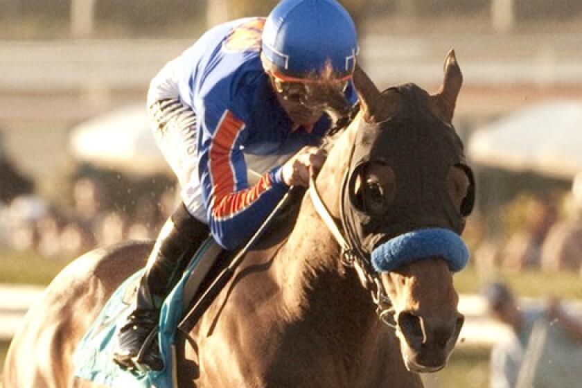 Game On Dude looks to add to his collection of Southern California victories with a win at the $1-million Grade I Pacific Classic at Del Mar on Sunday.