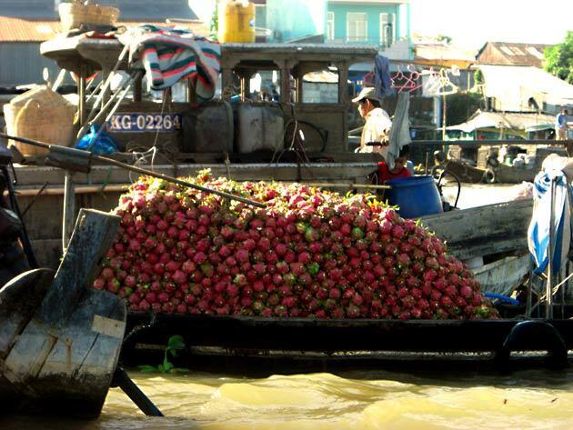 One of Can Tho's most popular attractions is its floating markets, where vendors sell fruit and vegetables on boats. The produce is mostly for wholesale, but a few sellers have retail selections. Cai Rang market, pictured, is the Mekong Delta's largest market. It's on the Can Tho River about an hour southwest of Can Tho by boat. Business begins at dawn and trails off around 9 a.m., so come early if you want to see the market in full swing. This boat is piled high with dragon fruit. More photos...
