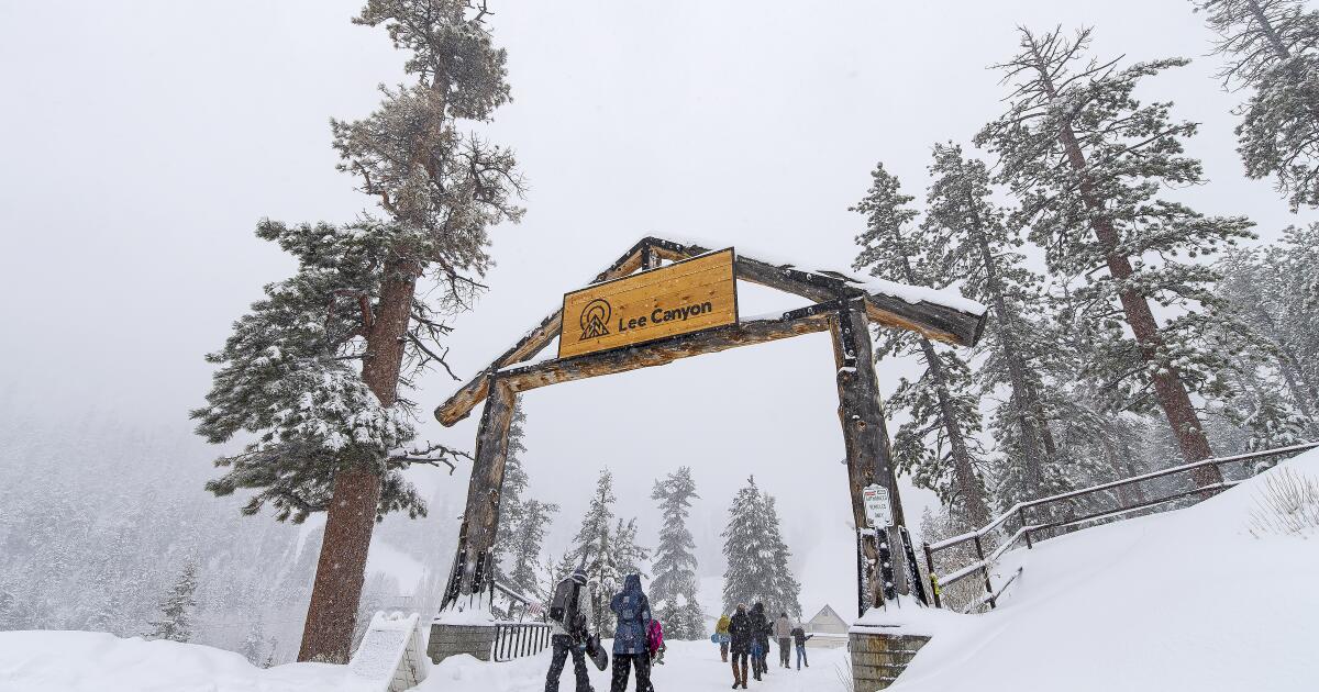4 found safe after avalanche at Nevada ski resort