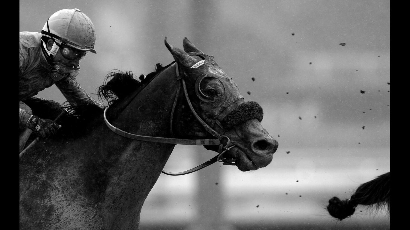 Jockey Rafael Bejarano guides Radio Silent down the stretch in the 2nd race at Santa Anita Sunday. The track was rated sloppy as an El Nino storm hits Southern California.