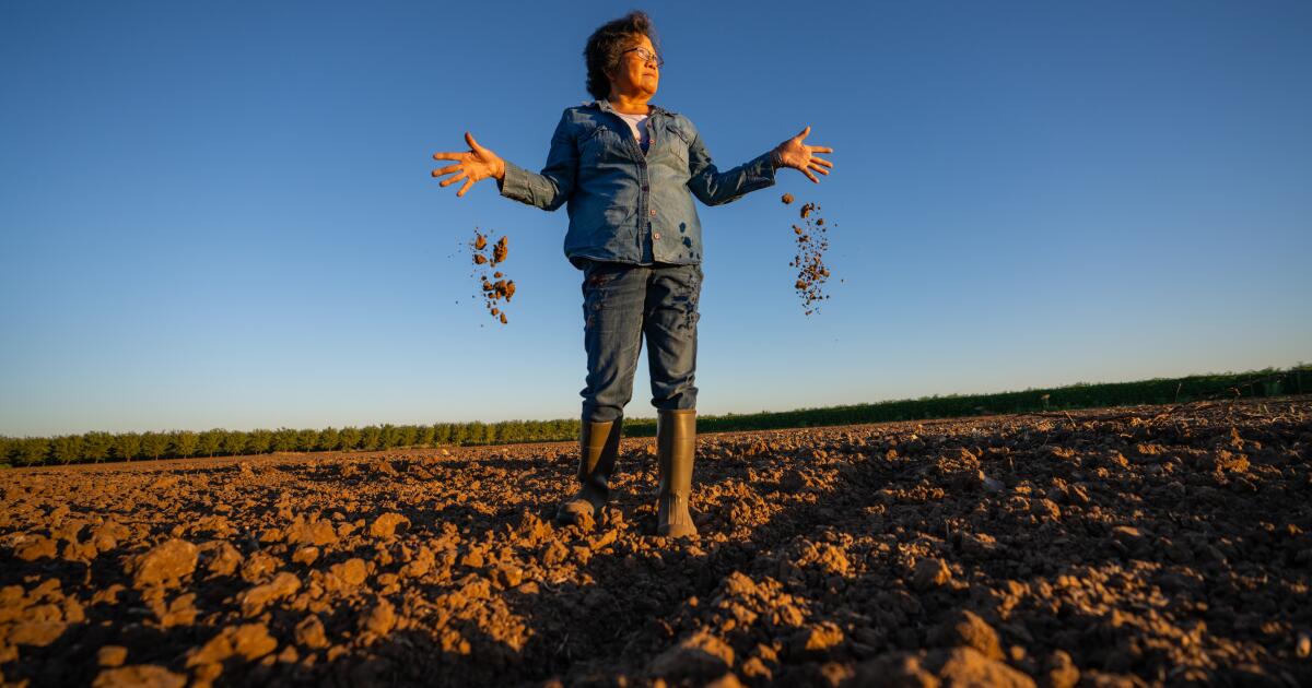 California’s push to limit groundwater pumping could leave small farmers in the dust California’s push to limit groundwater pumping could leave small farmers in the dust
