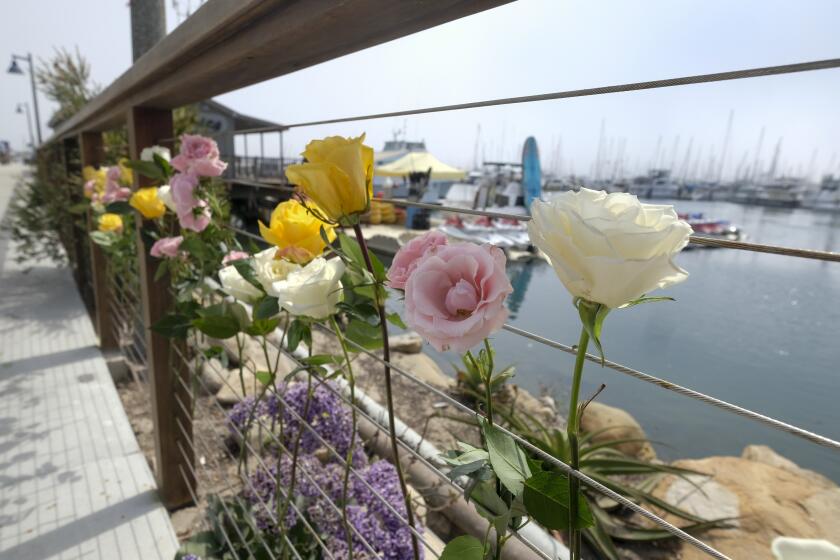 Flowers are placed at outside of the Sea Landing at Santa Barbara Harbor in Santa Barbara, Calif., Monday, Sept. 2, 2019. (AP Photo/Ringo H.W. Chiu)