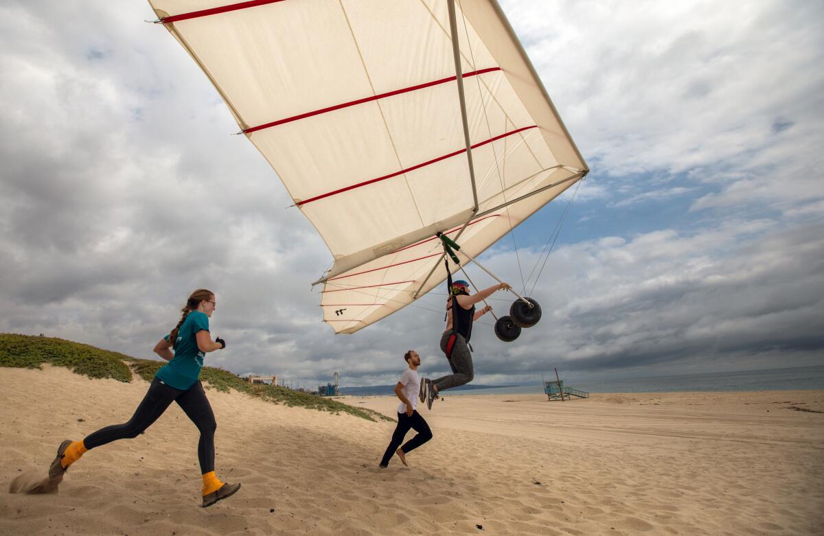 Two people run after another who is hang gliding off of a small bluff on a beach. 