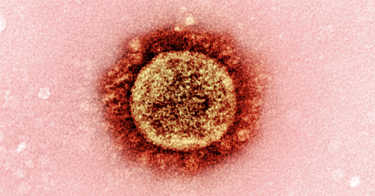 Luck is essential for any successful coronavirus variant, study shows