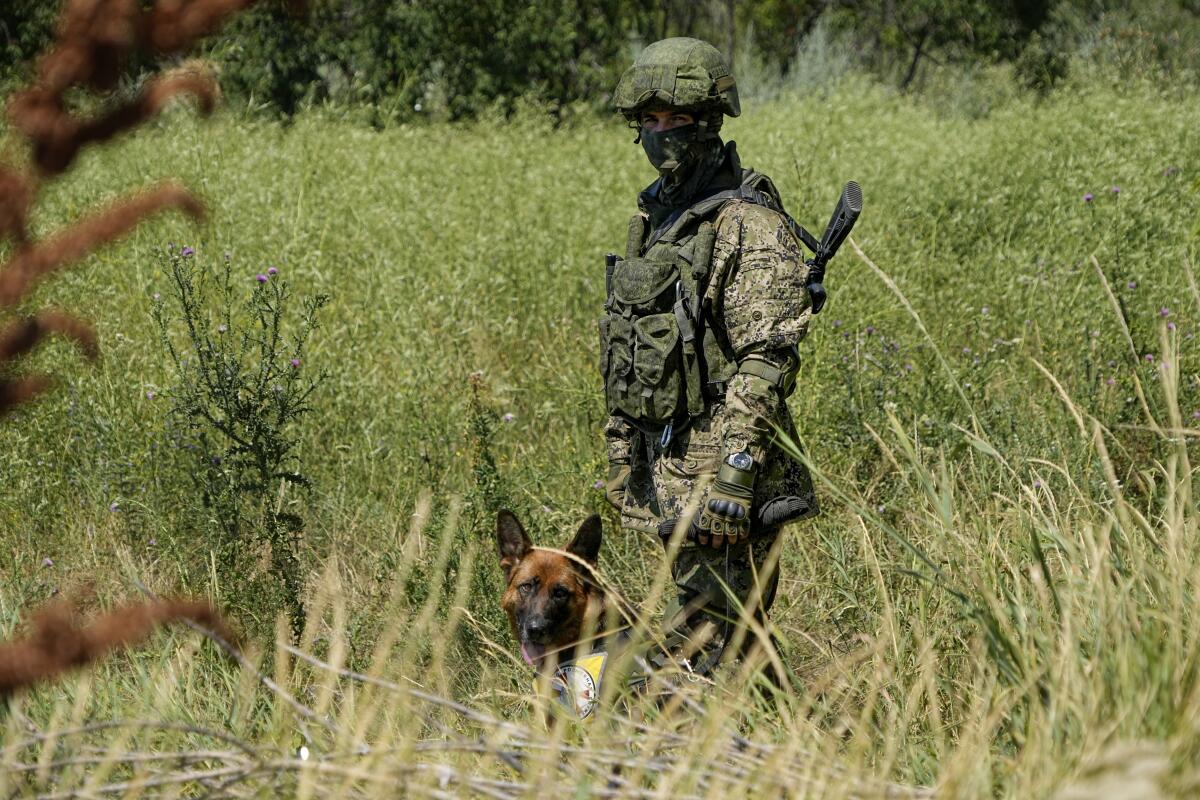 FILE - A Russian mine clearing expert with a dog works to find and defuse mines along the high voltage line in Mariupol, on the territory which is under the Government of the Donetsk People's Republic control, eastern Ukraine, Wednesday, July 13, 2022. Despite getting bogged down in Ukraine, the Kremlin has resisted announcing a full-blown mobilization, a move that could prove to be very unpopular for President Vladimir Putin. That has led instead to a covert recruitment effort that includes trying to get prisoners to make up for the manpower shortage. This photo was taken during a trip organized by the Russian Ministry of Defense. (AP Photo, File)
