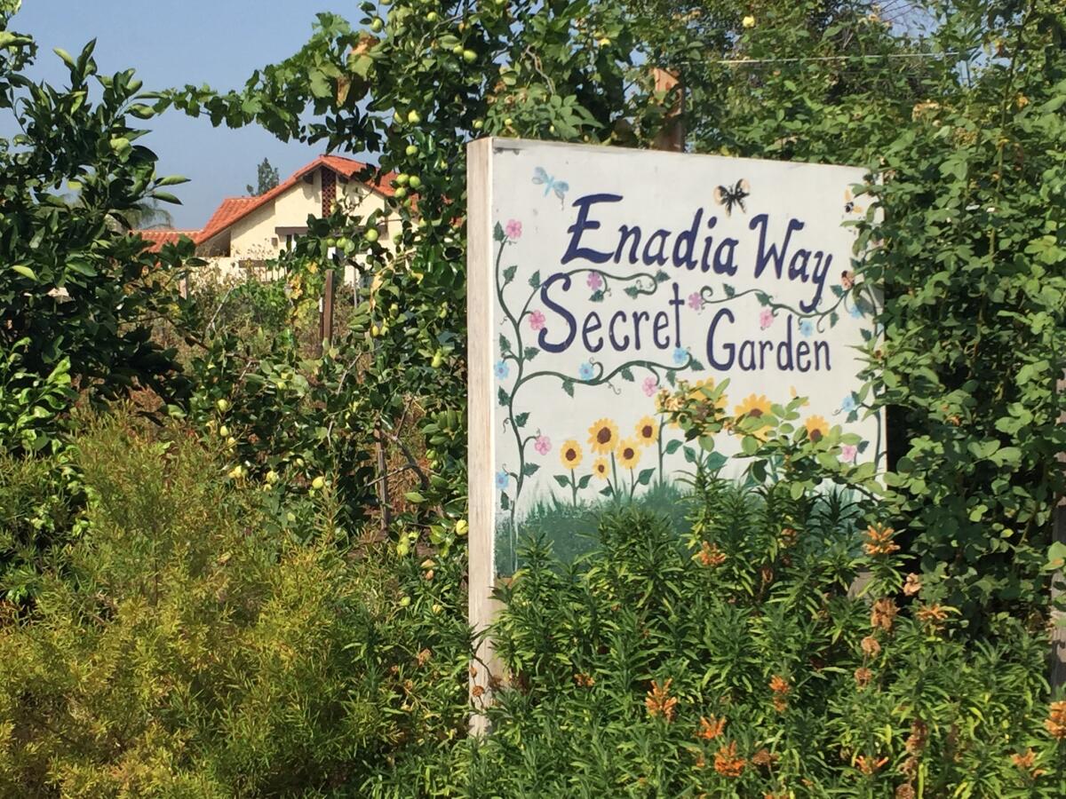 Enadia Way Elementary School in Los Angeles has had a garden on campus since 2009.