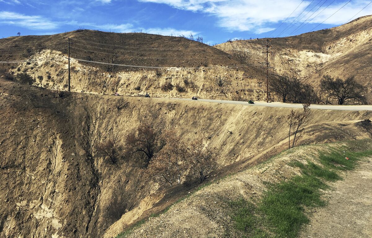 A mostly barren hillside.