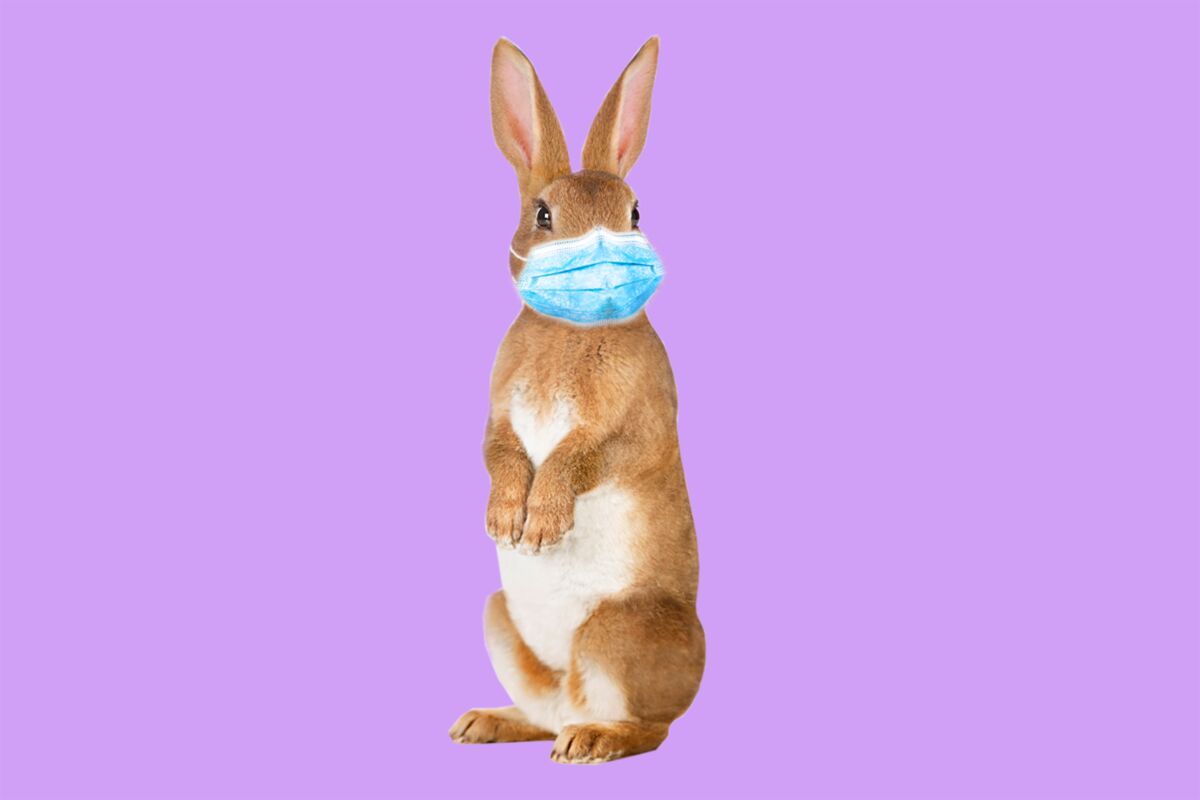 Photo illustration for Sharon Boorstin's story about how to celebrate Easter given the coronavirus pandemic.