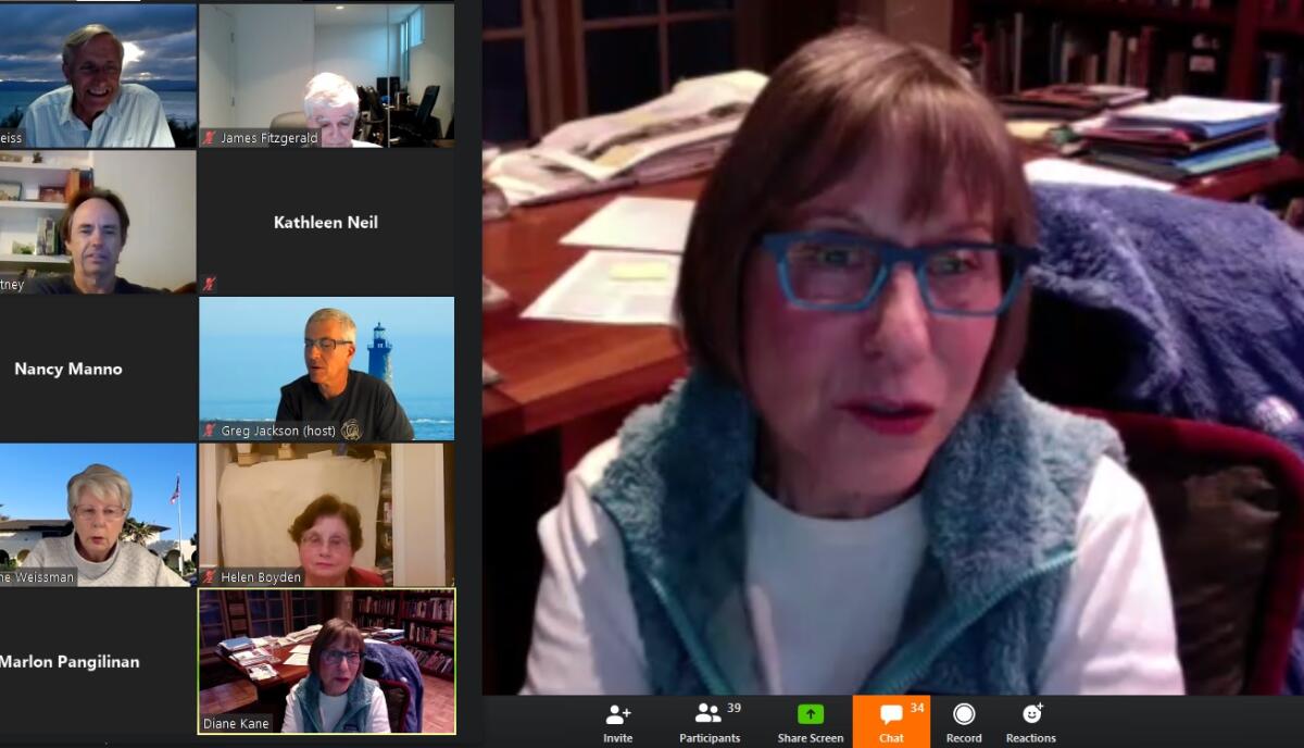 Newly elected La Jolla Community Planning Association president Diane Kane addresses her trustees April 3, 2020 via the Zoom app from her La Jolla home.